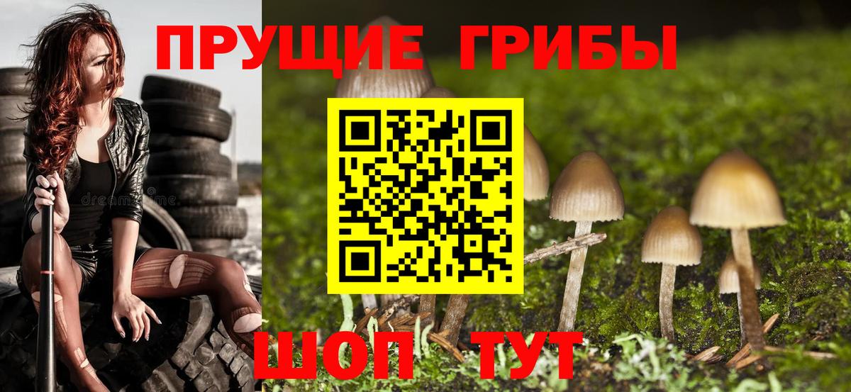 Амурск  Псилоцибиновые грибы MAGIC MUSHROOMS  Вход с VPN  Псилоцибиновые грибы Psilocybine cubensis 
