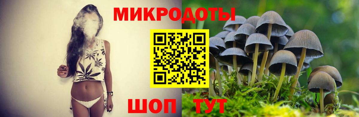 Псилоцибиновые грибы Psilocybe Амурск